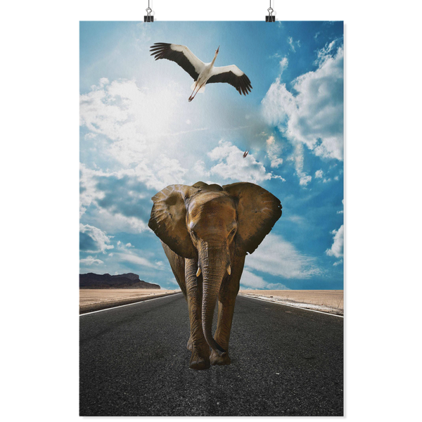 test poster - jag elephant