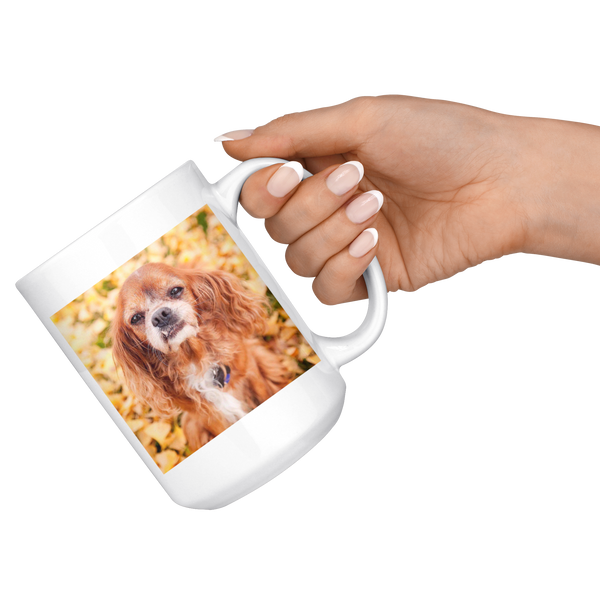 test - dog bear combo mugs