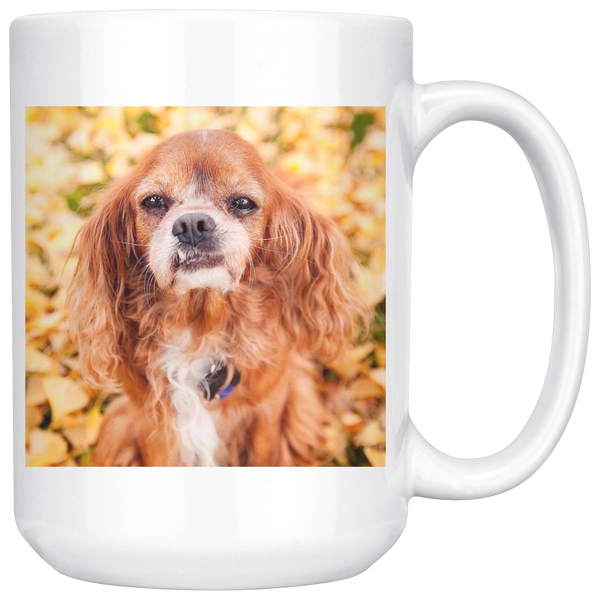 test mug - cat dog