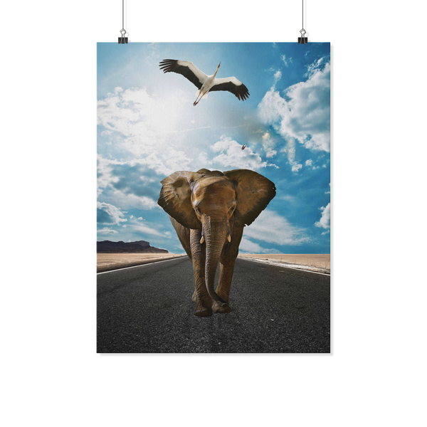 test poster - jag elephant