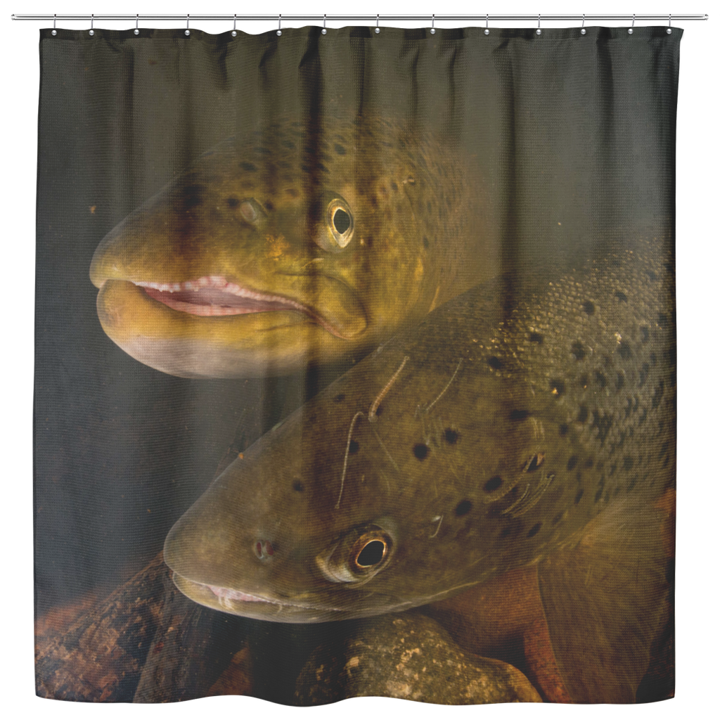 test shower  curtain - fish 2