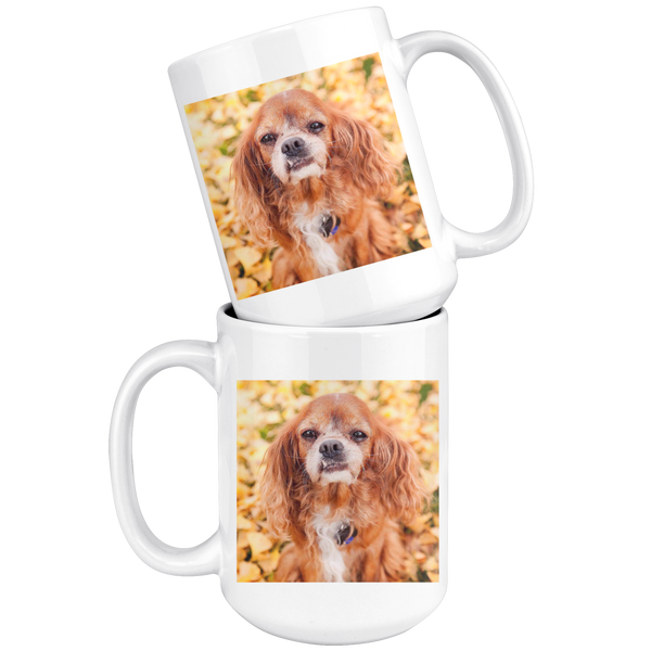 test - dog bear combo mugs